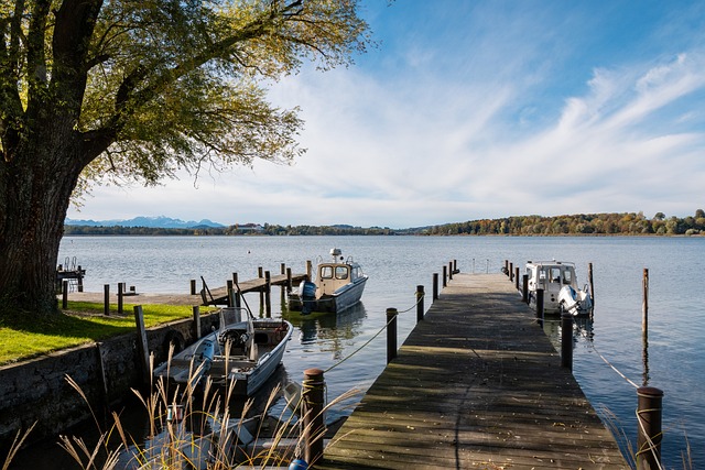 这个赛季 这个赛季