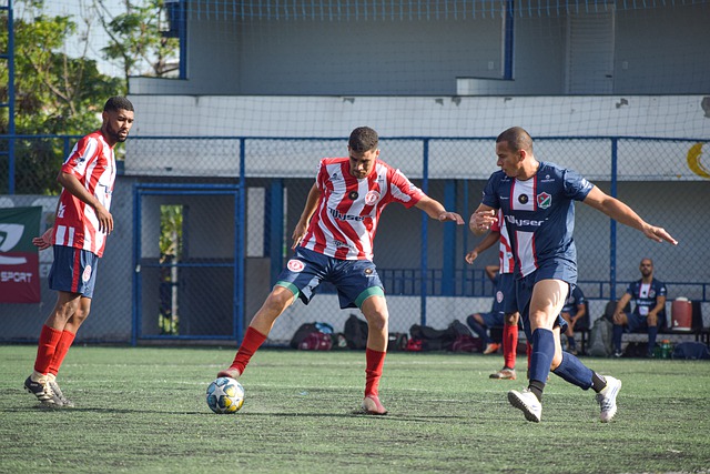 总的来说 总的来说