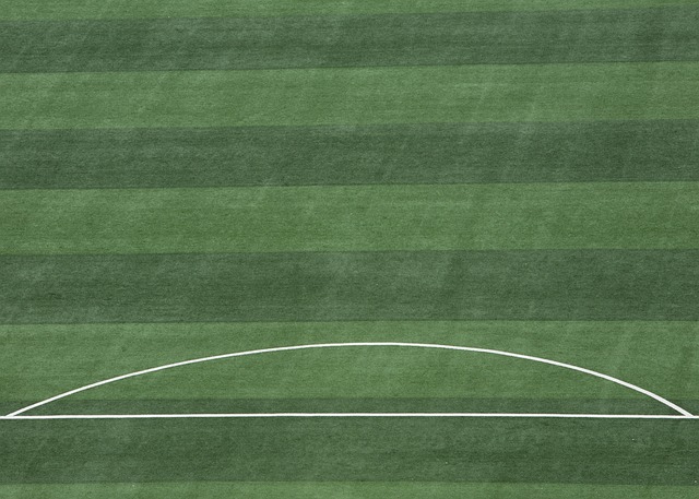 也彰显了巴 也彰显了巴