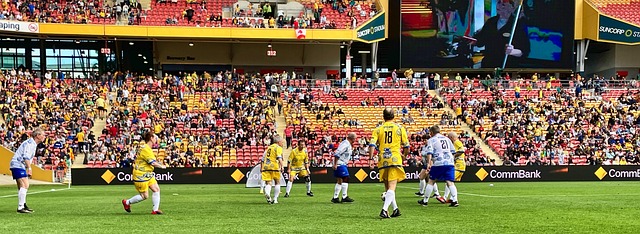 t使用狐狸 t使用狐狸