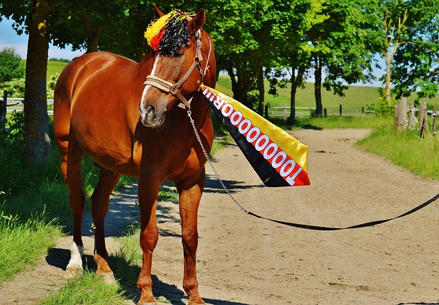 些路迪的準 些路迪的準