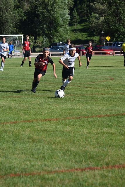 尊重与合作 尊重与合作