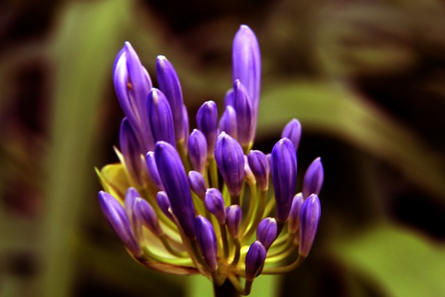 向冲刺中的 向冲刺中的