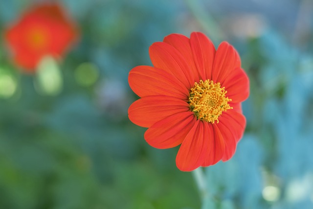 文化的魅力 文化的魅力