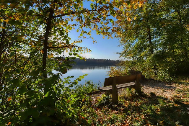 辽宁逆转上海，张镇麟发挥出色，CBA常规赛精彩纷呈.